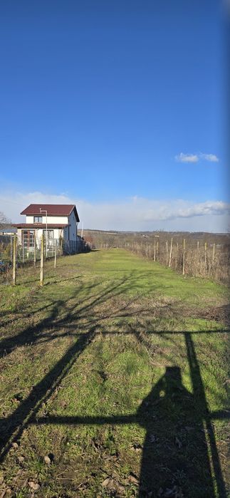Vand / inchiriez  teren intravilan sat Pleasa 2500m²