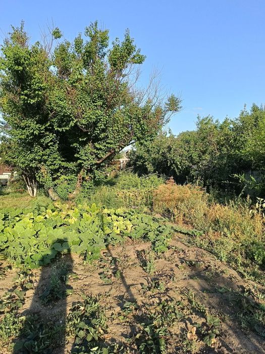 Продам дом! От городо 18 км