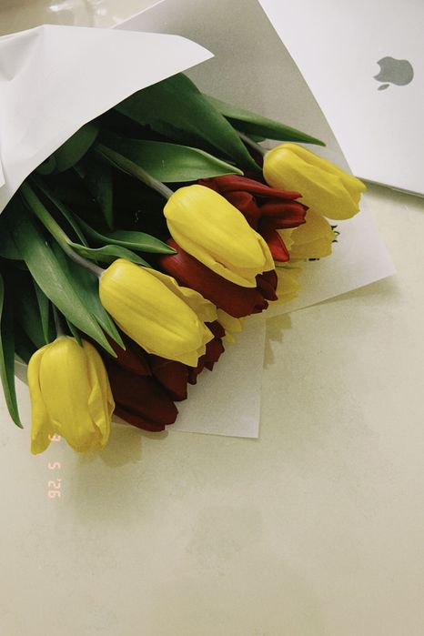 Тюльпан букет живой красивый