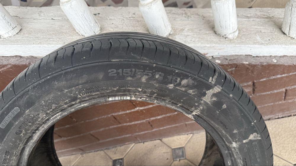 Balon radnoy treker1