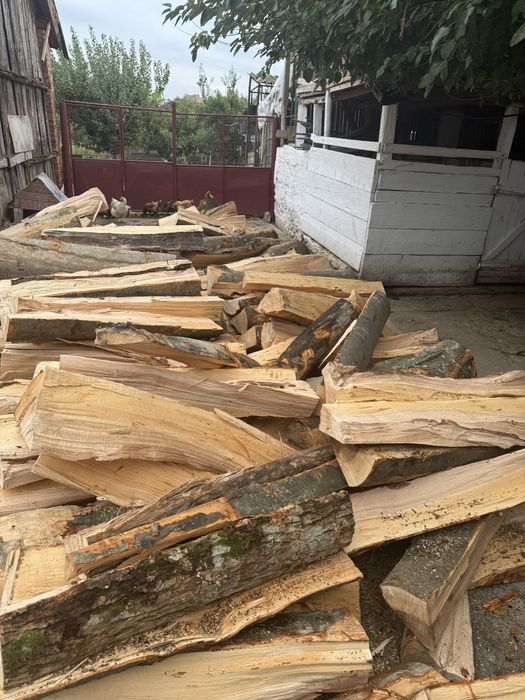 ‼️Vindem lemne de foc la 1800 de lei mașina lemne de esențe tarii‼️