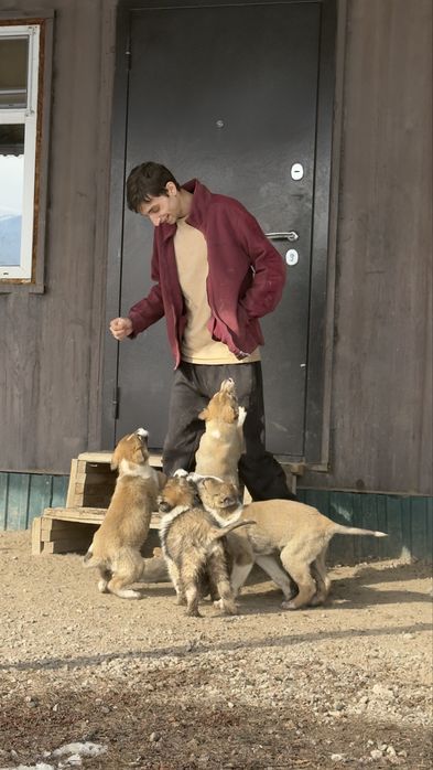 Отдам щенка в хорошие руки