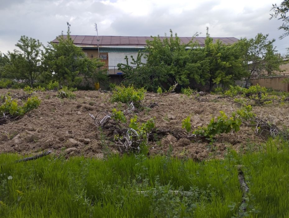 Uy sotiladi parkent tumani