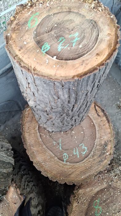 Чурки, силы  ореха