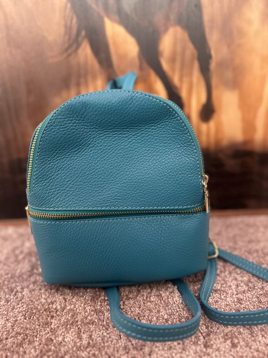 Geanta Massimo Castelli