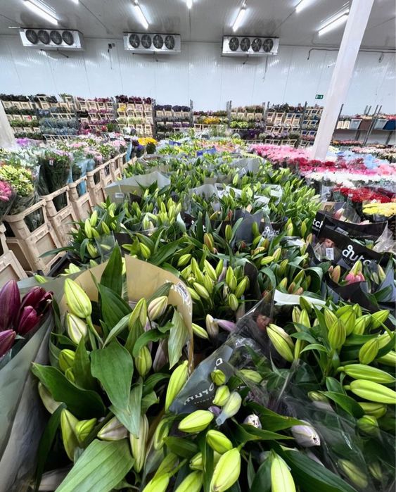 Тюльпаны, герберы, хризантемы, ромашки, пионы, розы