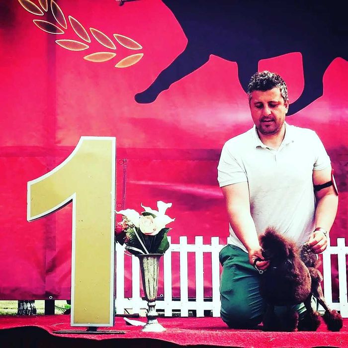 Frizerie canină Buzău