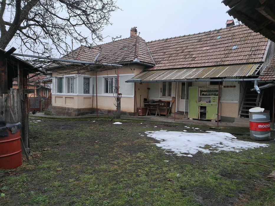 Casa de vanzare in Ibanesti