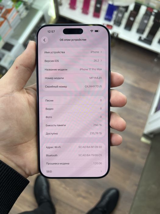 iPhone 17 Pro Max 256gb 100%