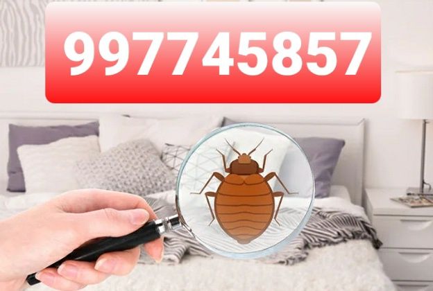 Дезинфекция дезенфекция дизенфекция dezenfeksiya dizinfeksiya dezinfe