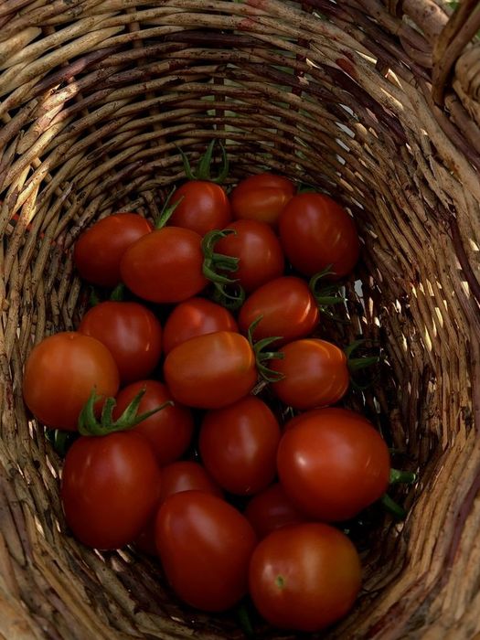 Вкусные домашние помидоры
