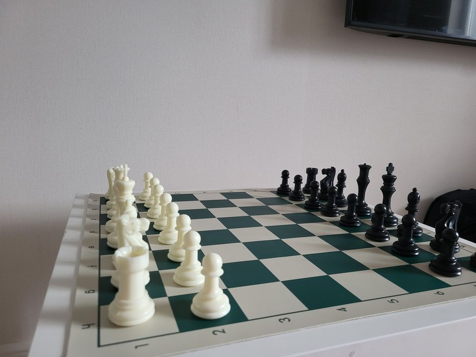 Шахматы на виниловой доске