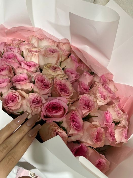 Продам цветы розы