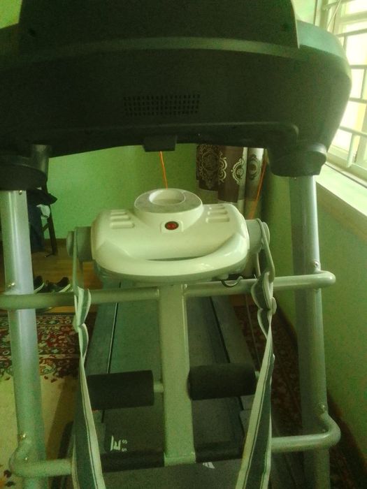 Бегавой дарошка холати зор