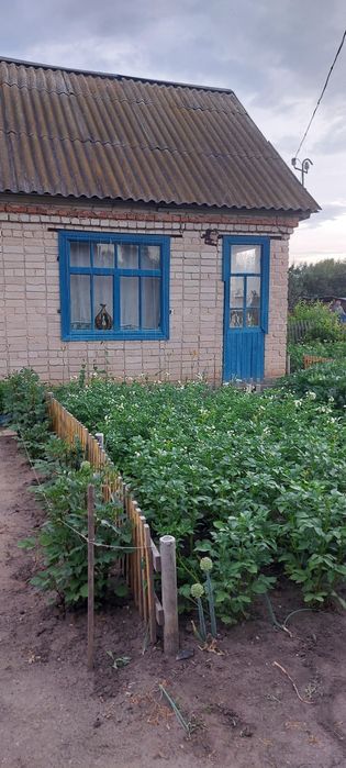 Продам дачу общество Черемушки