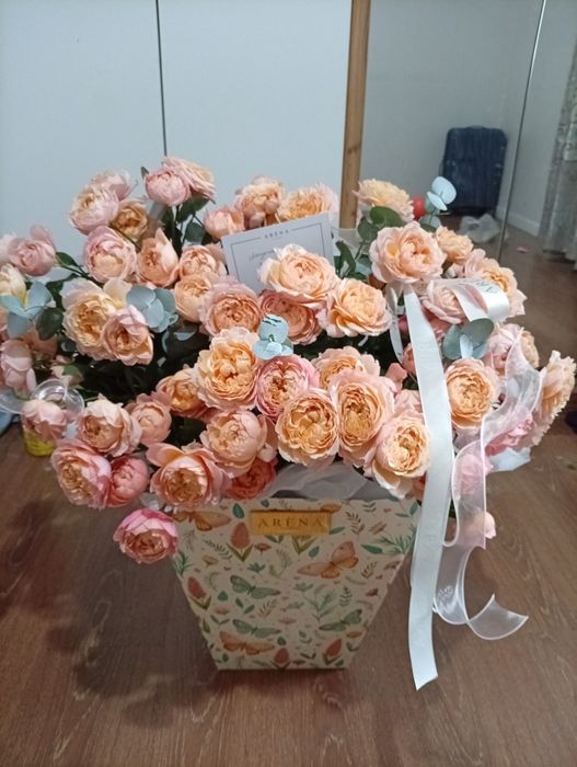 Продам цветы за 10к а она стоит 23.900
