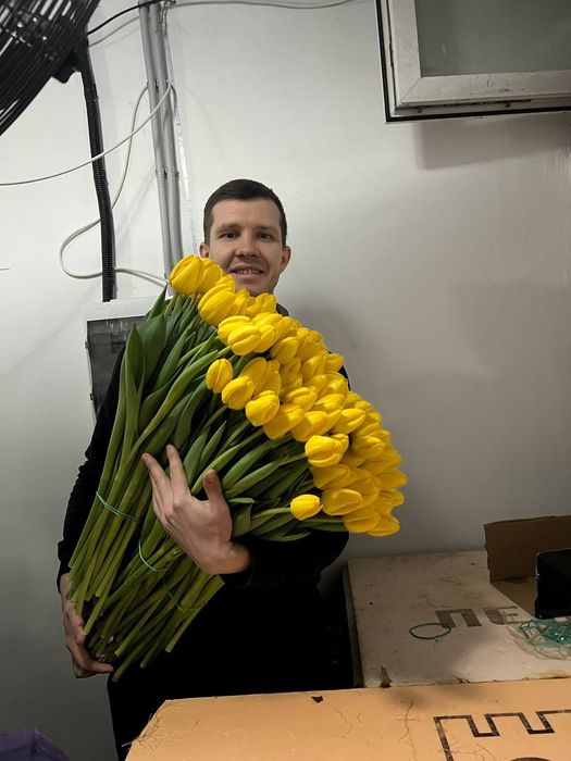 •Цветы  •Тюльпан