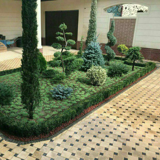 Газон бор оптим дастафка бор