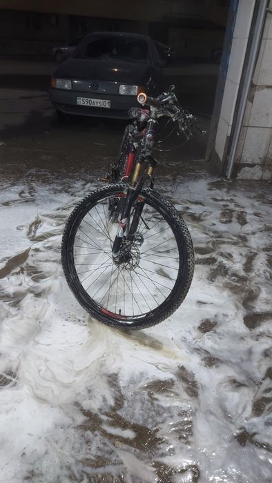 Велик  очень хорощи