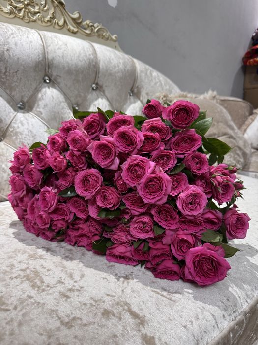 Кустовые розы, 15 штук