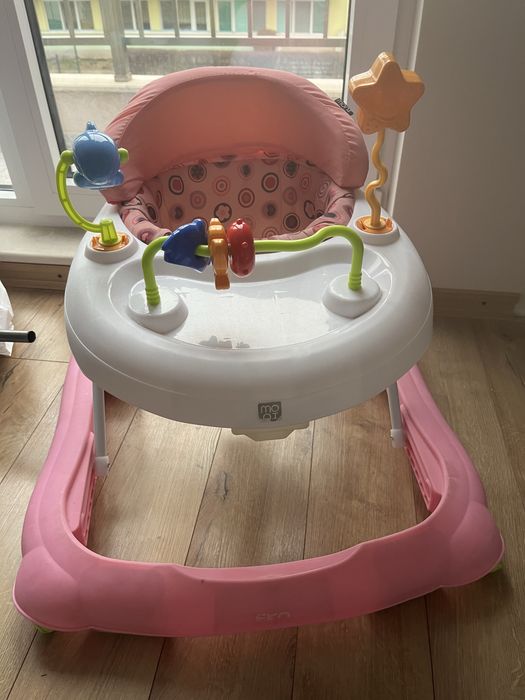 Паяк проходилка Moni