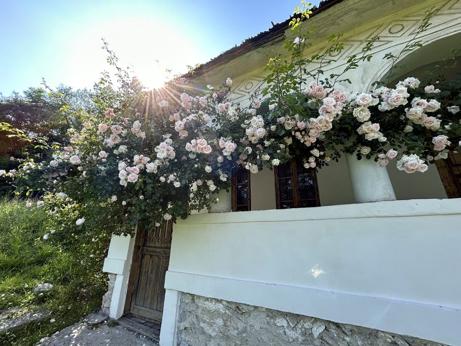 Casa MUSCELEANA , stil Conac , cu livada , teren intravilan- 2 000 mp.
