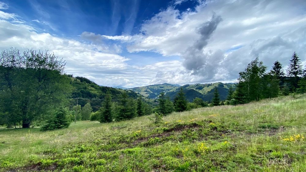 Teren 30.000 mp de vânzare – Garda de Sus, Alba | Utilități | Parcelabil | Investiție Turistică