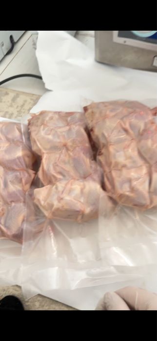 перепелиные мясо бөдене еті