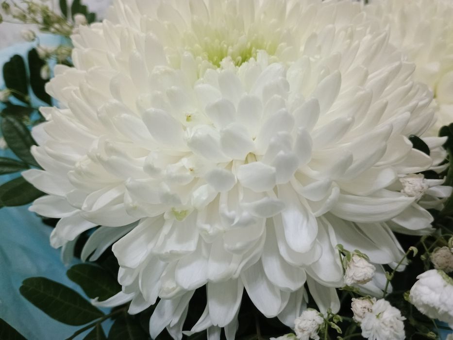 Шикарный свежий букет