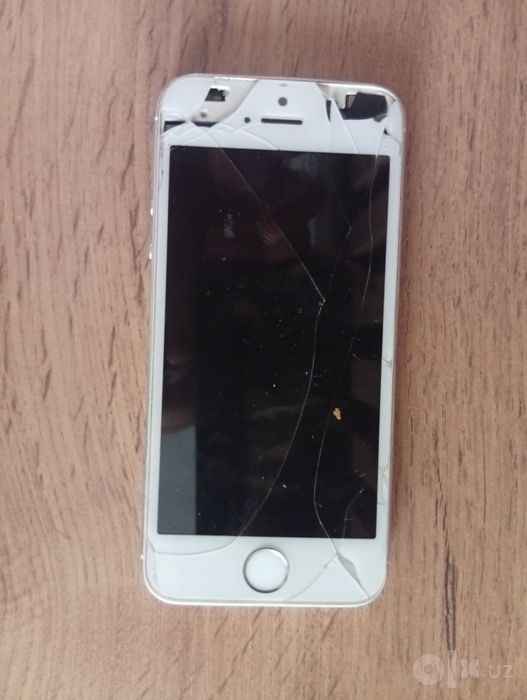 iPhone  5+.     _