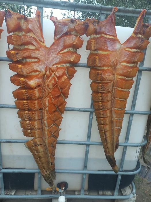 Капченная рыба из Атырау