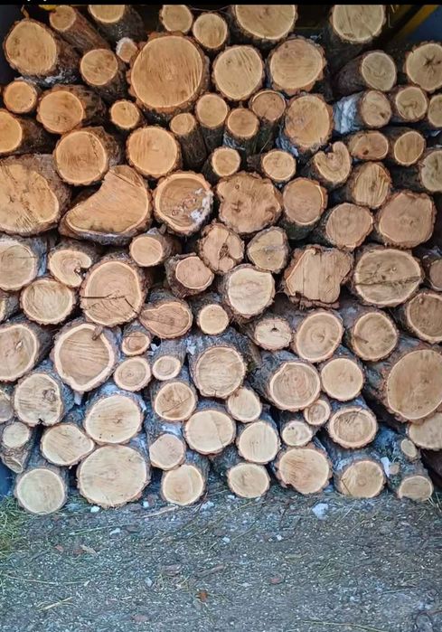 Vând lemne uscate