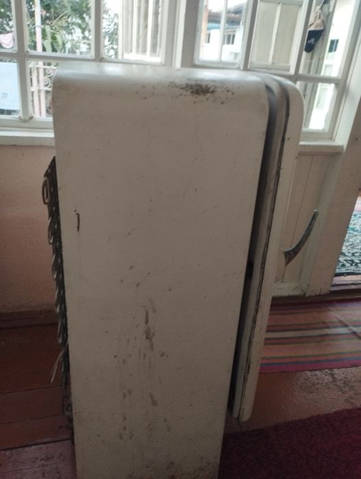 Днепр халаделник