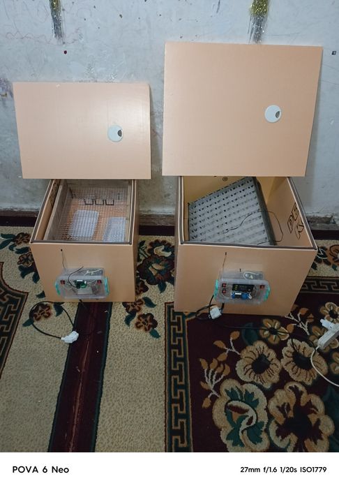 Инкубатор полный автомат