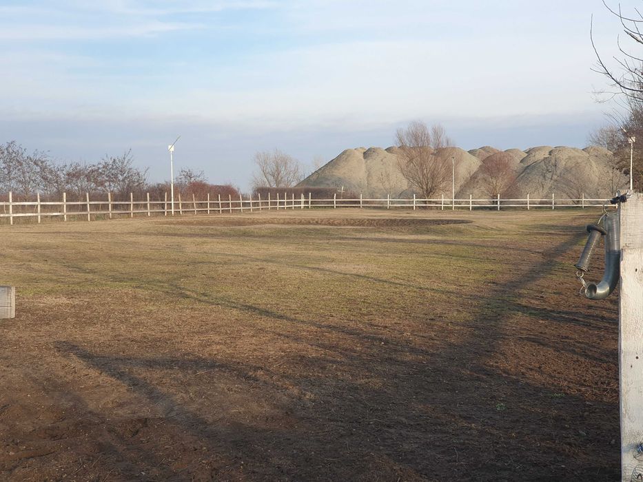 Pensiune pentru cai/ cazare cai