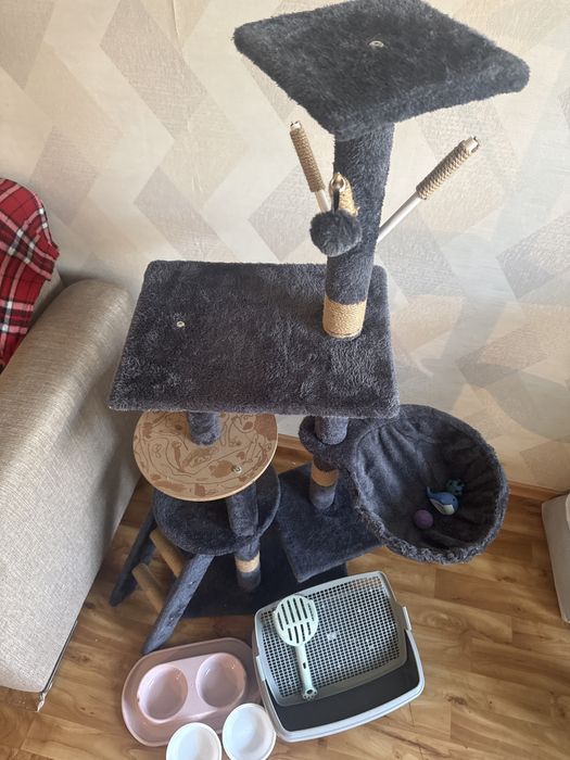 Домик для кошки или котят