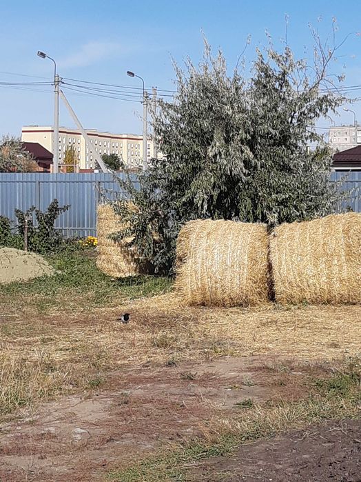 Участок земли в городе