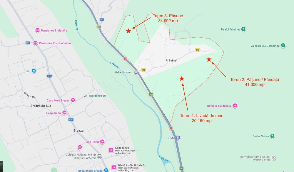 Vând 3 terenuri extravilane în Sat Frăsinet – livadă și pășuni – 9,65 ha – acte la zi