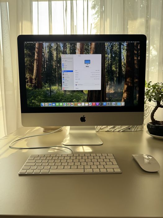 iMac 21.5" Retina 4K 2019 — i5 3 GHz, Radeon Pro 560X, 1TB Fusion Drive