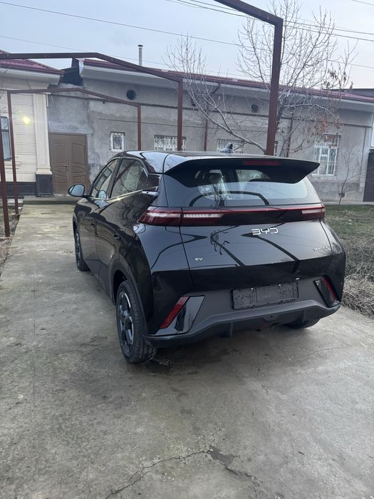 Byd seagull bez prabeg