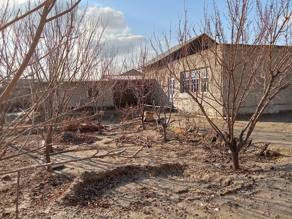 Hovli sotiladi 8 stuk