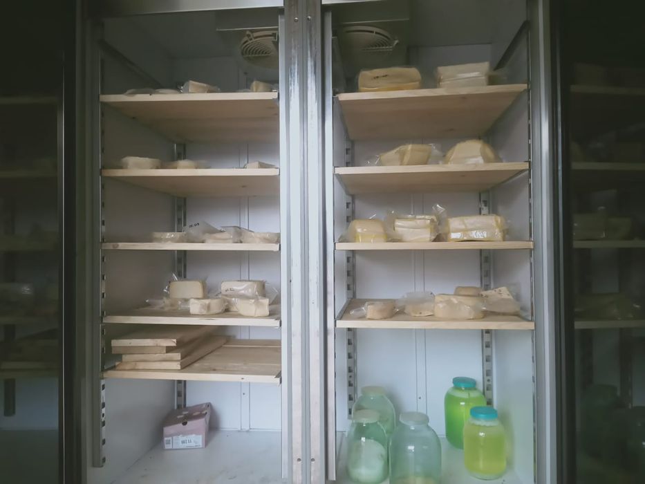 Промышленный холодильник arneg