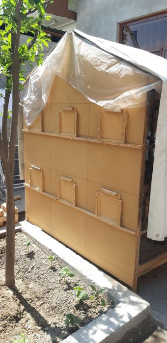 Qushlar bilan Katak sotiladi.