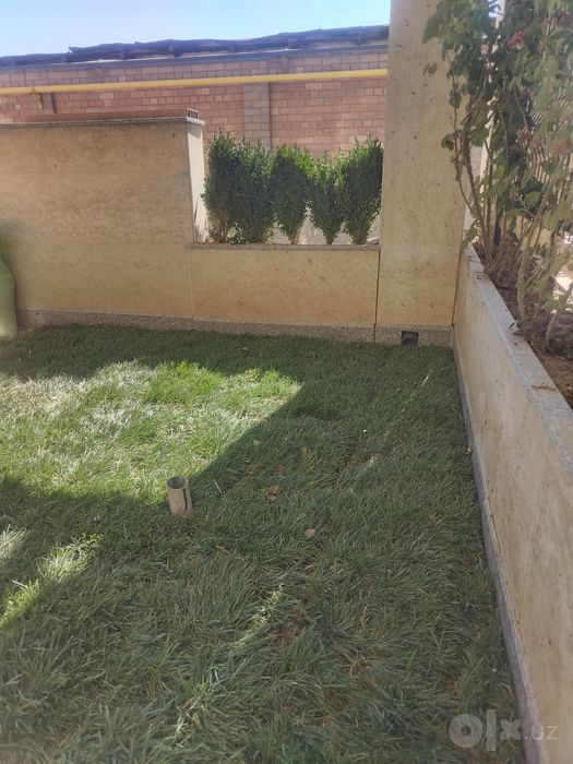 Lanshaft ekish hizmati