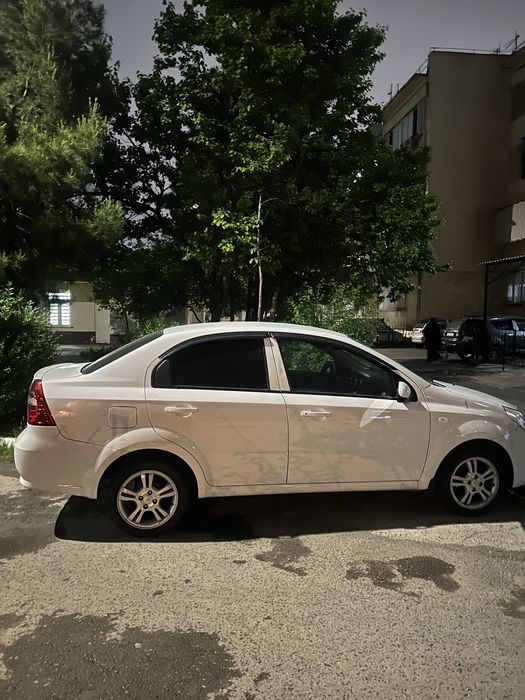 Nexia 3 arenda nasiya savdoga