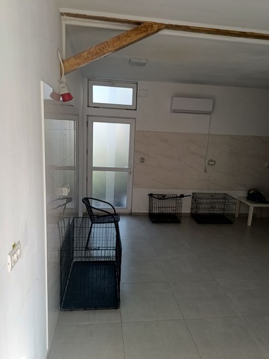 Spatiu comercial stradal