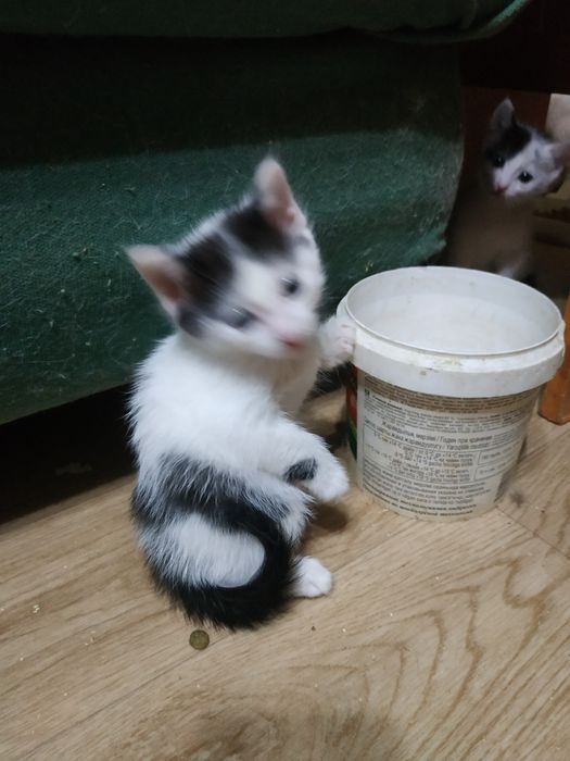 Предновогодняя распродажа