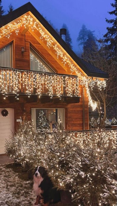 Новогодние гирлянды уличные