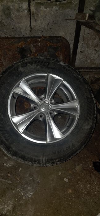 Диск с пакрышкай зимни