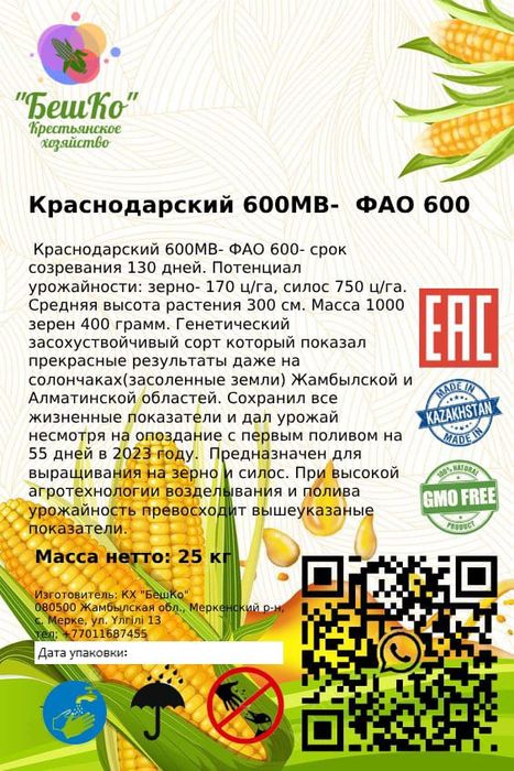 Жүгері тұқымы Семенов кукурузы